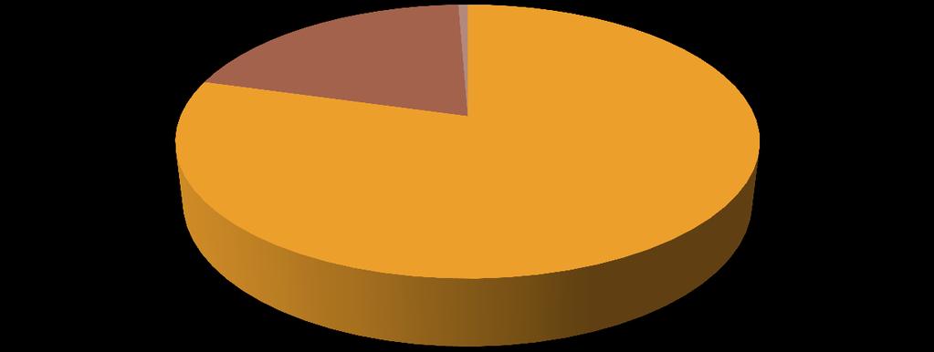 Szlovákia 2005 Közúti vasúti belvizi légi 1% 0%