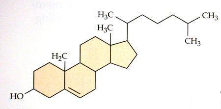 Koleszterin, szetránvázas vegyület, lipid de nem