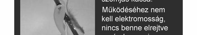 Minden dián a cím és a 4. dia szövege 40 pontos és félkövér betűkkel készüljön! 4. Az 1.