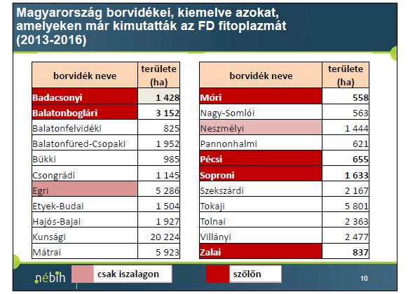 stádiumban vannak is, és egész életük során