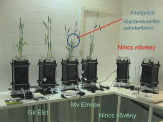Ibolya Partnerek: MTA Szegedi Biológiai Kutatóközpont; Gabonatermesztési Kutató Kht.; MTA Mezőgazdasági Kutatóintézet; Szegedi Tudományeg yetem; Mezőheg yesi Ménesbirtok Rt.