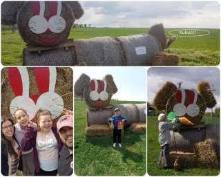 A beérkezett képek közül a zsűri legötletesebbnek Meixner Bori Kukucs képet tartotta.