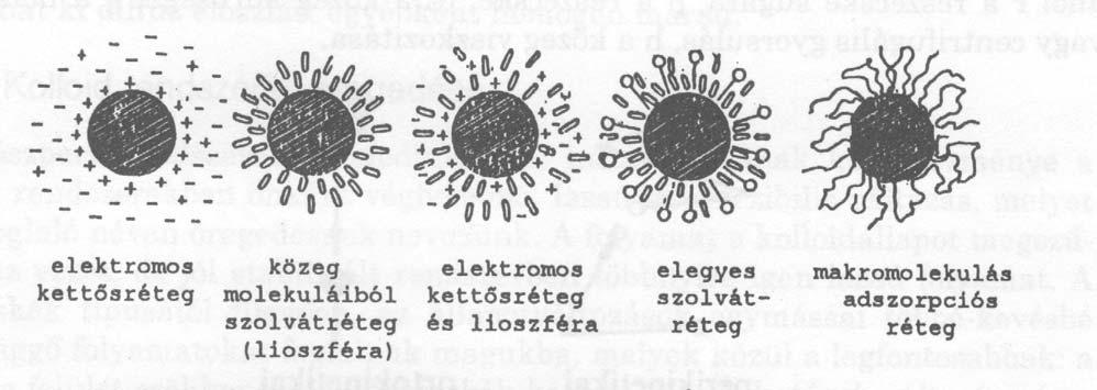 Szolok,