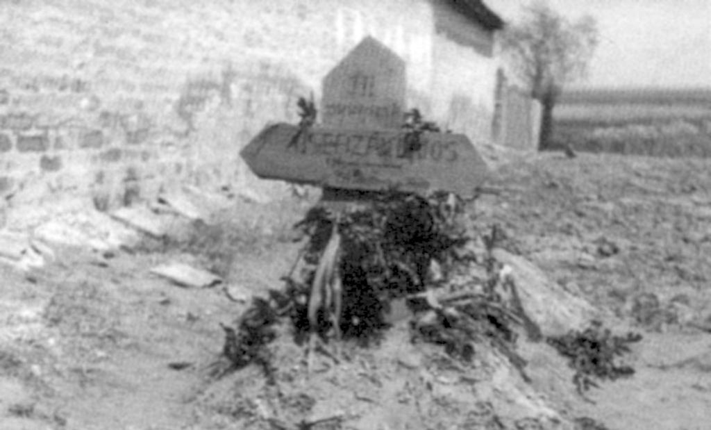 Névsorok emberveszteség 485 29. Šukić, Vasa (Ószivác, 1921 1944) honvéd, 16. hv. zlj. 2. löv. szd. Milanov Terka fia. 1944. október 14-én belső vérzéstől halt meg Óbecse és Szenttamás között.
