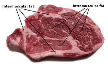 1. Hús márványossága A hús porhanyósságát meghatározó egyik