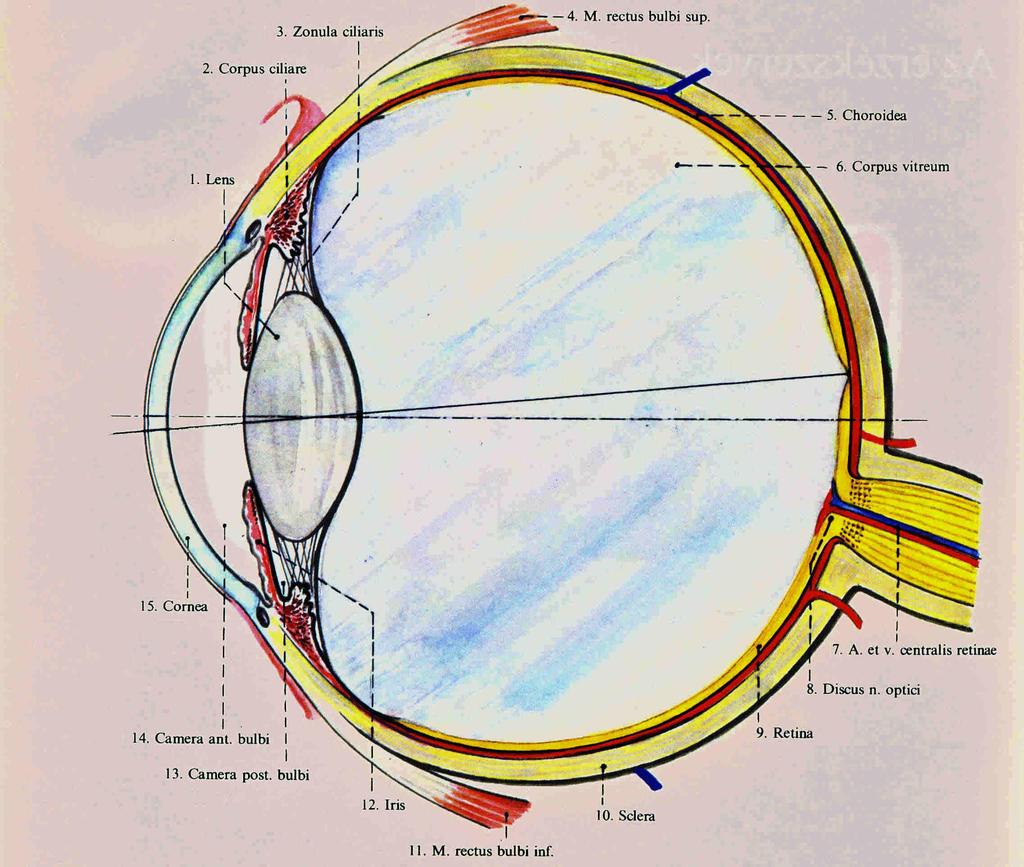 CIE színérzet diagram