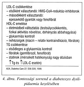 small dense LDL, hypertonia, fibrinogén, vércukor), míg a véd hatású HDL szintje növekszik.