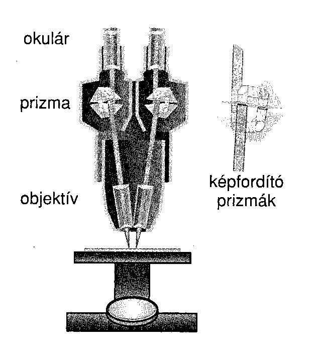 A különböző speciális mikroszkópok lehetővé teszik a még megkülönböztethető pontok távolságának csökkentését.