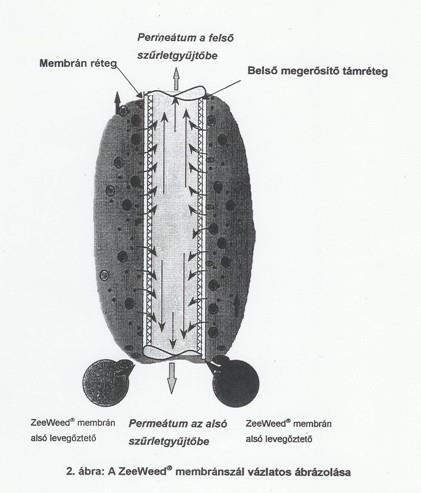 membrán, alacsony