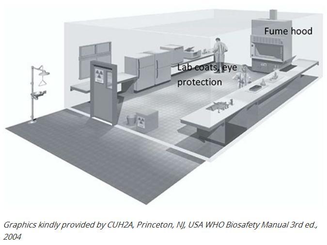 A biológiai laboratóriumok biztonságtechnikai szintjei Biosafety Level 1 (BSL-1) Alapszintű védelmet biztosító laboratórium