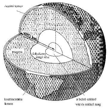 A sejt molekuláris genetikája; 1. Az élet keletkezése, a sejtek szerveződése. 1 1. AZ ÉLET KELETKEZÉSE, A SEJTEK SZERVEZ DÉSE A Föld kialakulása és a prebiotikus környezet. A fossziliák jelentősége.