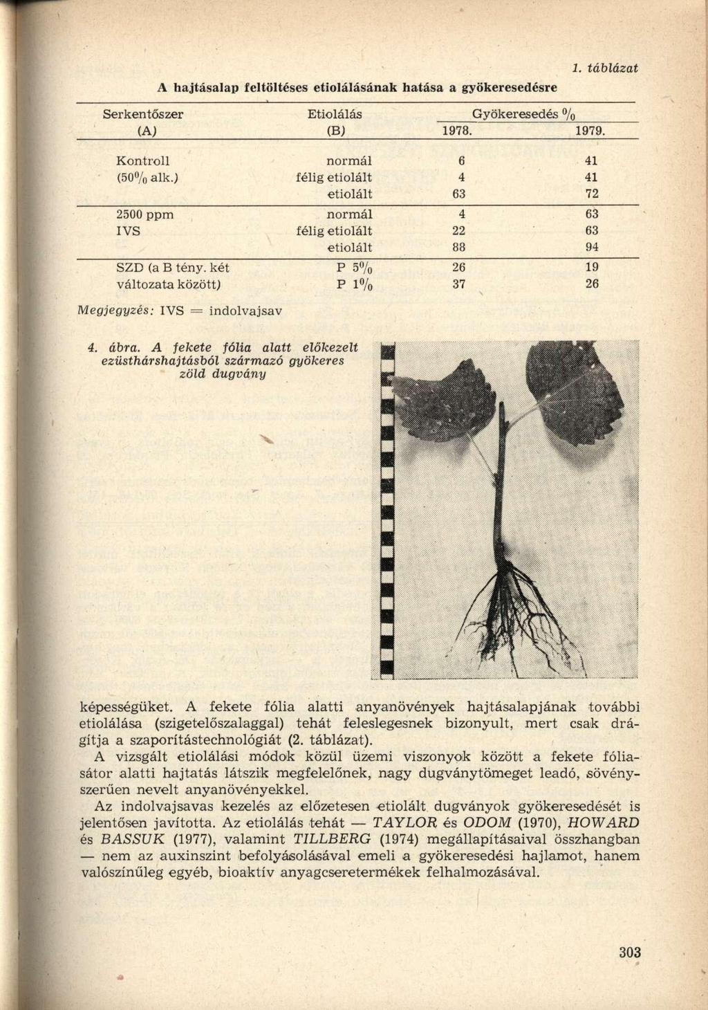 A hajtásalap feltöltéses etiolálásának hatása a gyökeresedesre Serkentőszer Etiolálás Gyökeresedés % (A) (B) 1978. 1979. Kontroll normál 6 41 (50% alk.