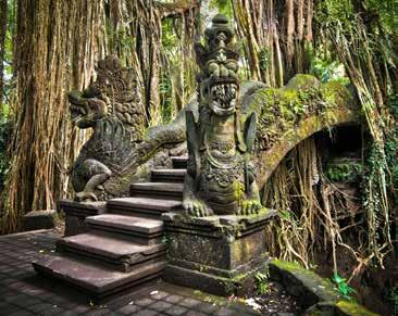 nap Reggeli után, a délelőtti órákban látogatás Bali kulturális központjában, Ubudban, majd az Alas Kedaton Majomerdőben, ahol egészen közelről, természetes környezetükben figyelhetők meg a templomot