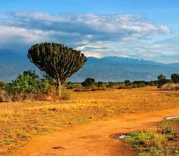 természetvédelmi területet keletről és nyugatról egy-egy tó, északon a Rwenzori-hegyek (a Hold hegyei) övezik, melynek legmagasabb, négyezer méter feletti csúcsait gyakran hó fedi.