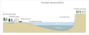 CSIKY J. & OLÁH E.: A DRÁVAMENTI SÍKSÁG NANOCYPERION VÖRÖS LISTÁJA 7 szakirodalomban (MOESZ 1908, VÖRÖSS 1964, HORVÁT 1942, 1972, BARINA 2000, MOL- NÁR V., PFEIFFER & RISTOW 2000).