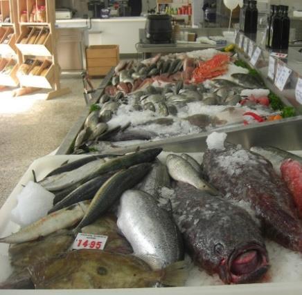 horgásztól/halásztól speciális halboltban kis kis boltban 21,9% 17,0% 9,9% a