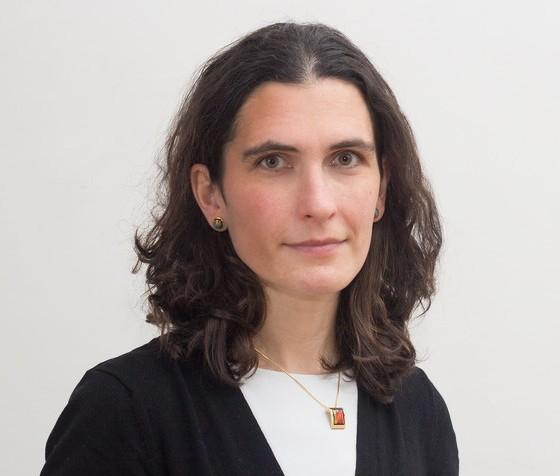 A bécsi egyetem is jó néven vette, ha bizonyos mértékben még náluk is oktató maradok, mert oda kötöttek egyrészt az ottani doktoranduszaim, másrészt pedig az ott megnyert pályázatok, melyek közül az