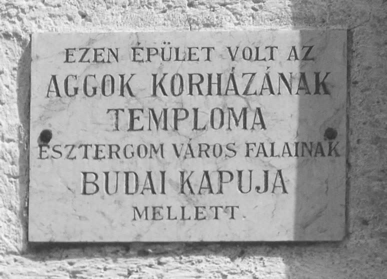 A Kárpát-medencei magyarság története, és így a magyar egészségügy kezdete is számos formában kapcsolódik Szent István városához.