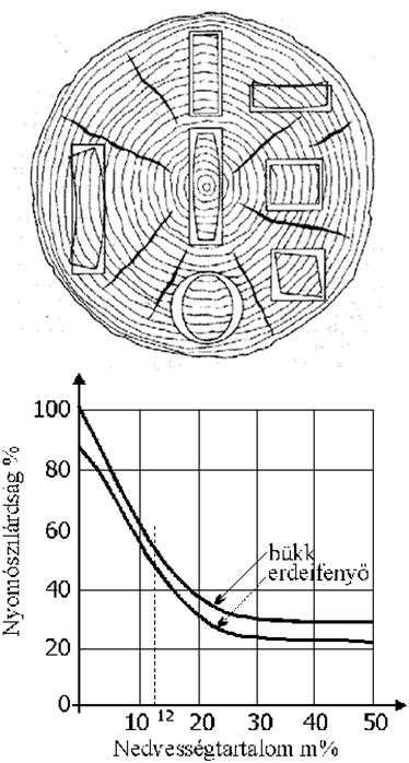 A fa fizikai és mechanikai tulajdonságai A fatest fizikai szempontból egy háromfázisú rendszer, amely: - Kristályos szerkezetű, jelentős amorf részek - Inhomogén, anizotróp - Pórusos szerkezetű,