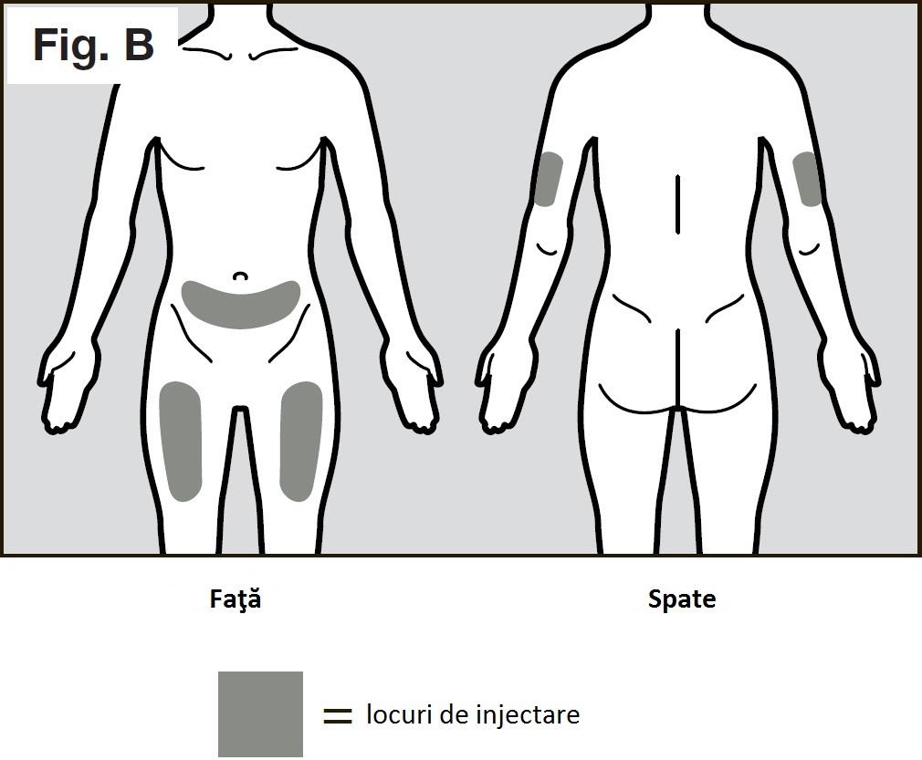 Pasul 2. Lăsaţi seringa să ajungă la temperatura camerei Nu îndepărtaţi capacul de protecţie al acului seringii până la pasul 5.