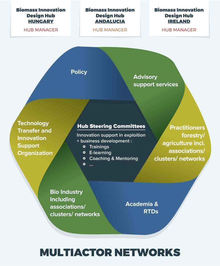 biomassza innovációs hálózat irányít:
