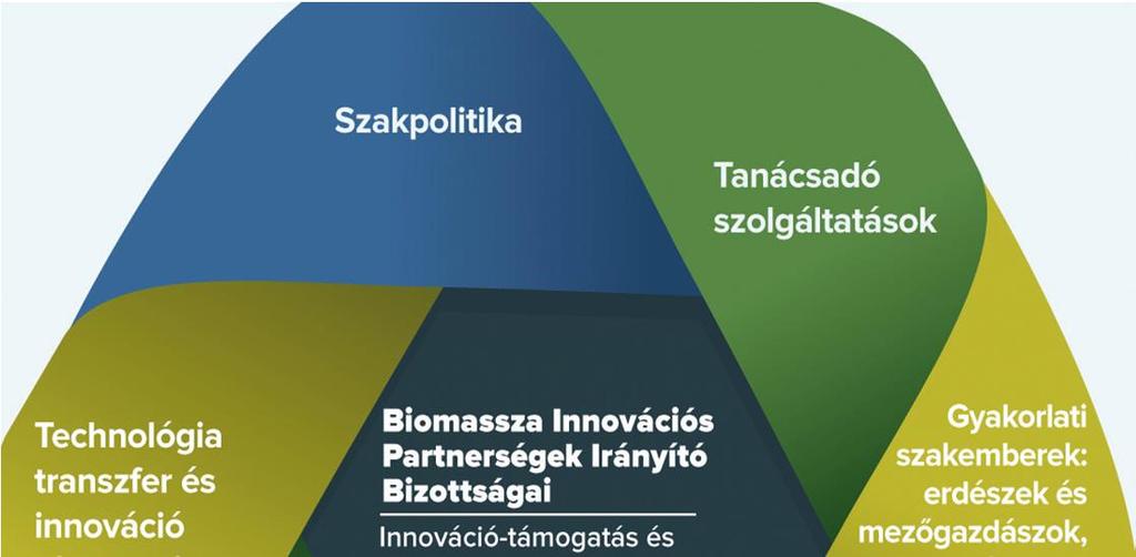 Írország a hálózat vezetői