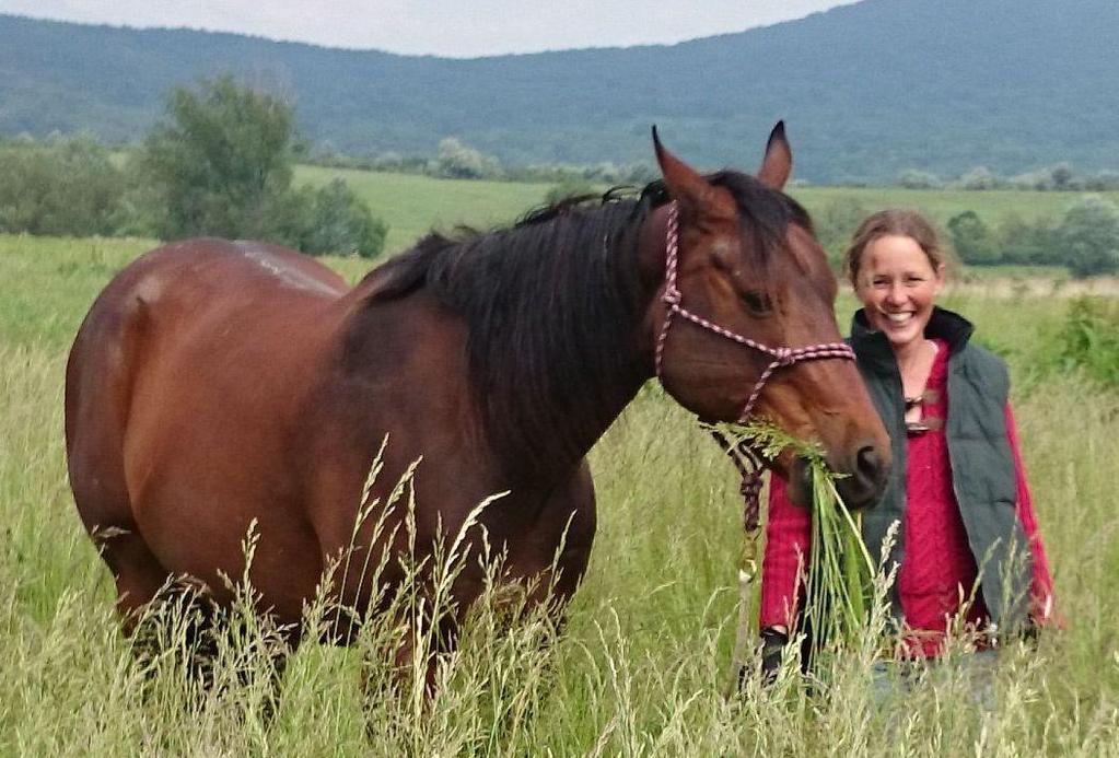 Terapeuta szerepe A lóval megélt helyzetek során megjelenő élményanyaggal dolgozik Figyeli a ló által nyújtott tükröt és segít azt értelmezni a páciens számára Olyan meghívó helyzeteket