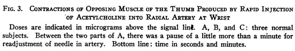 Stanbury SENSITIVITY OF SKELETAL