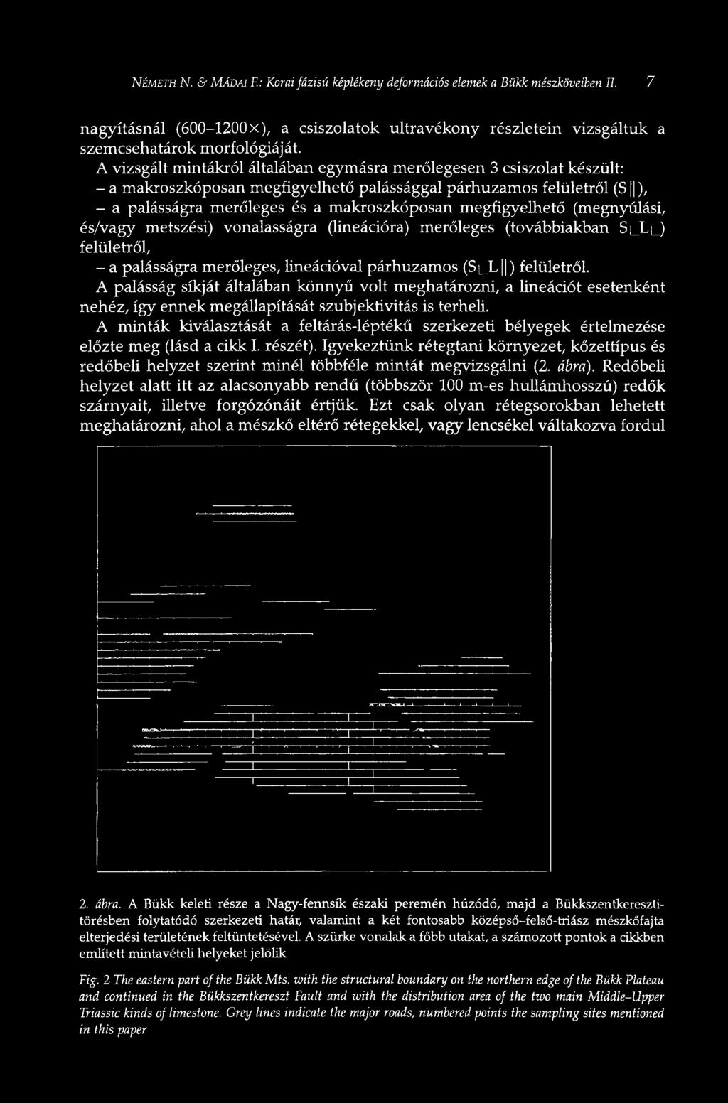 megfigyelhető (megnyúlási, és/vagy metszési) vonalasságra (lineációra) merőleges (továbbiakban SLXL) felületről, - a palásságra merőleges, lineációval párhuzamos (SLL ) felületről.