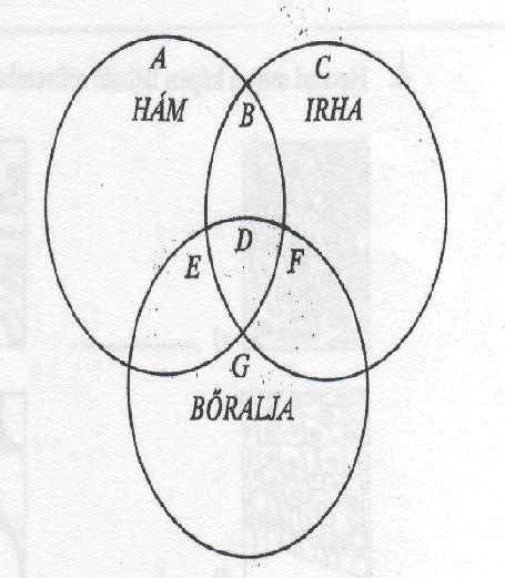 10. Helyezd a halmazokba az állítások betűjelét!