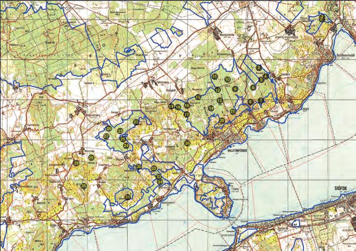 Ritka és védett zuzmófajok a Balaton-felvidék keleti részén 235 2. ábra. A vizsgált terület térképe a mintavételi pontokkal Fig. 2. Map of the study area kös & Tóth 1997) alapján történt.