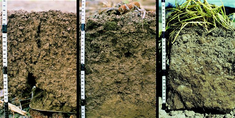 Művelési talp jelenléte JÓ ÁLLAPOTÚ P= 2 KÖZEPES ÁLLAPOTÚ P= 1 GYENGE ÁLLAPOTÚ P= 0 Nem található művelési talp réteg a művelt feltalajban. Közepesen szilárd talp a művelési rétegben.