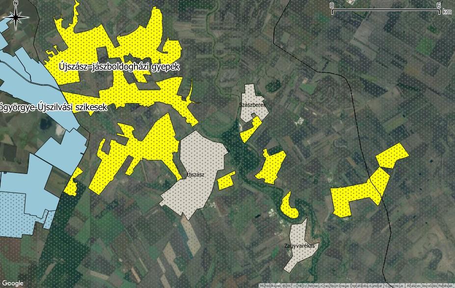 pionír növényzete 0,02%).