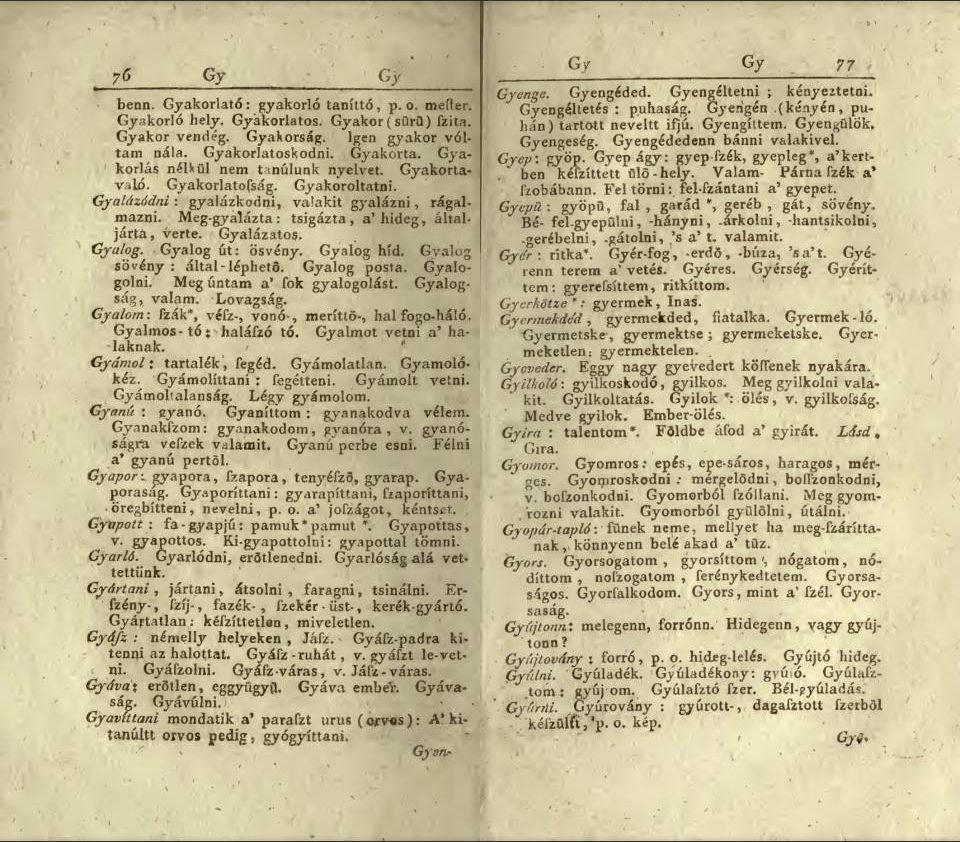 Az első magyar egynyelvű szótárak a 18. század végétől tűntek fel.