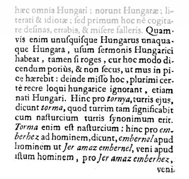 sos) emlék, mint a fentebb már említett Halotti beszéd. Ezekről bővebben fogunk még tanulni. A régi magyar grammatikák egy adott kor teljes nyelvtanát írják le.