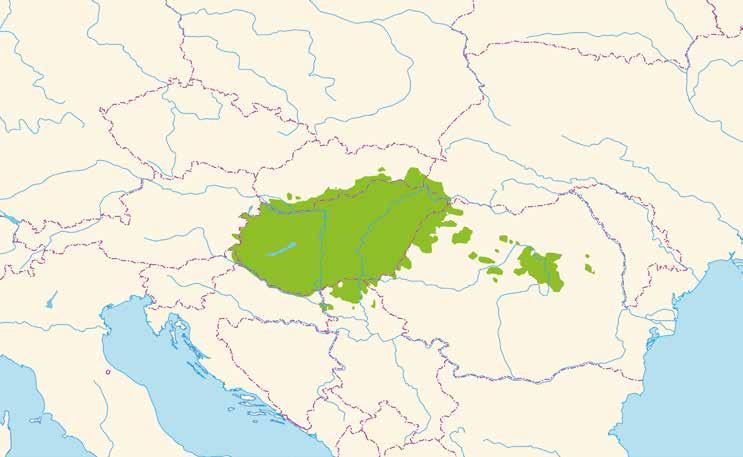 A magyar nyelv helyzete a szomszédos országokban 16.