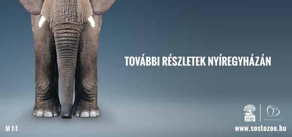 Mutasd be egy általad választott beszédhelyzet elemzésével! Média, nyilvánosság, retorika 1.