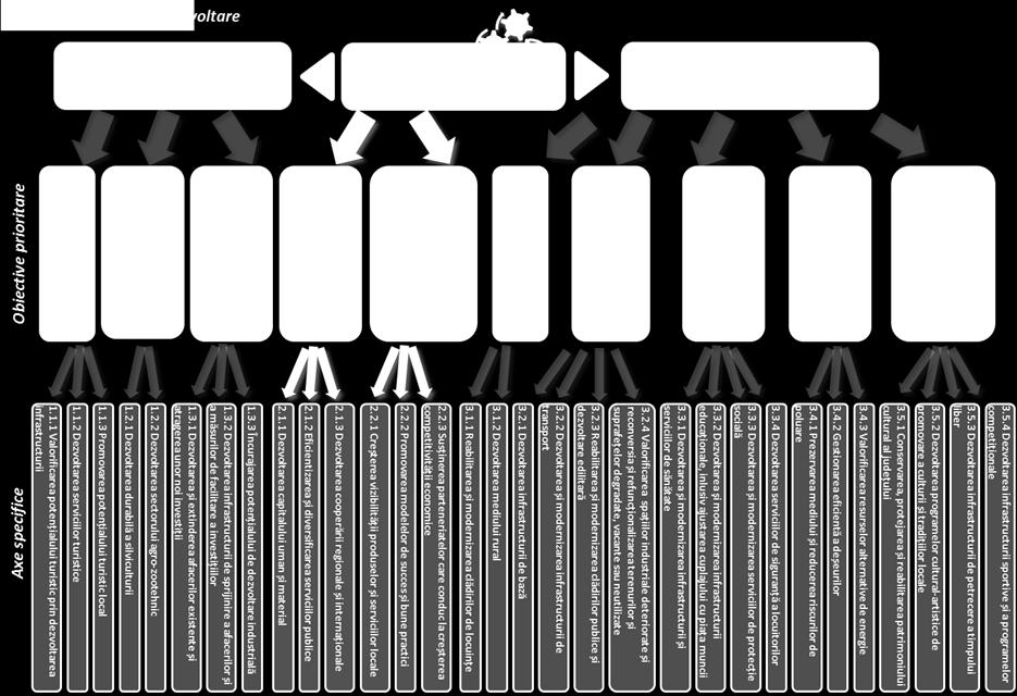 direcțiilor strategice de dezvoltare, a