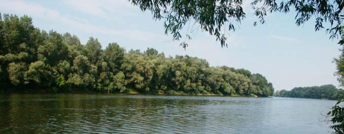 A Tisza a