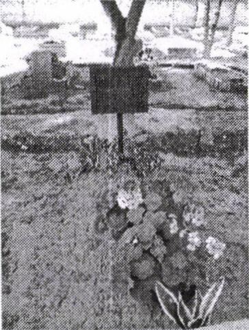 1990-ben Ankarába, Törökország akkor egyetlen magánegyetemére, a Bilkent Egyetemre ment, ahol az operációkutatási tanszék szerepét betöltő Department of Industrial Engineeringhez csatlakozott.