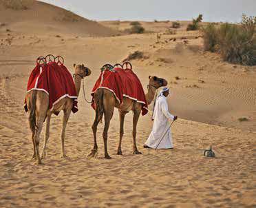 A teveversenyek, a beduin piacok és Dubai duty free vásárlási lehetőségei számos turistát vonzanak.