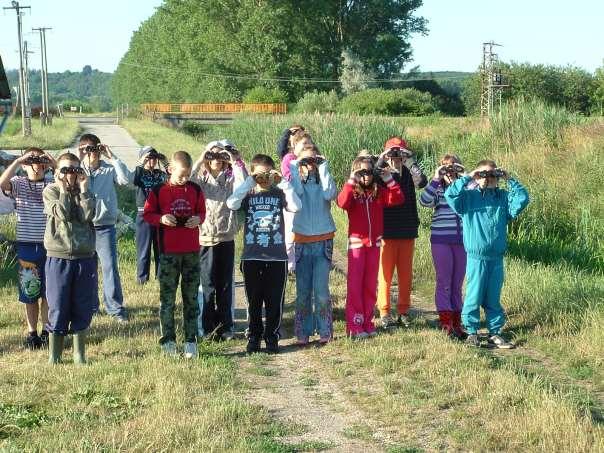 Rendszeres madárgyűrűzés a tüskei bázishelyen.