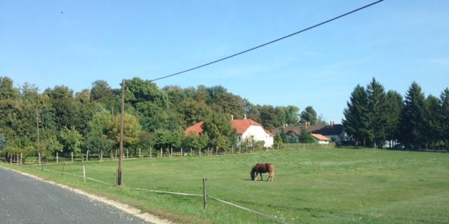 A lakóterületeken földszintes nyeregtetős vagy kontyolt és sátorteto s lakóépületeket találunk.