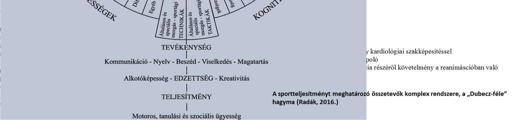 mellett milyen sporttevékenység engedélyezhető, vagy ajánlható. Ennek a feladatnak az ellátásához valamennyi a kardiológiában alkalmazott diagnosztikai eljáráshoz szükség lehet. 1.