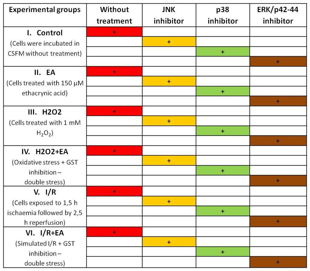 ethacrynic acid) on the viability and apoptosis of cardiomyocytes when cells are exposed to various stress components of ischaemia and reperfusion (I/R). 4.3. MATERIALS AND METHODS 4.3.1.