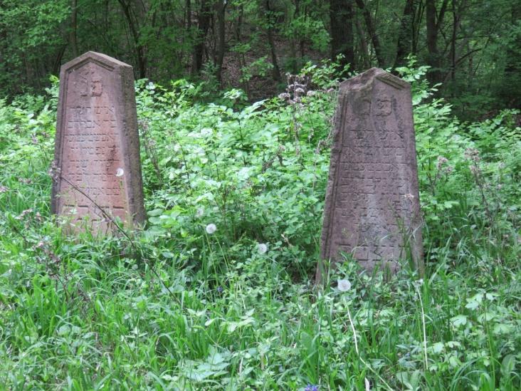 H 95 Zsidótemető 049/32 története: felhagyott temető nem védett, védelemre