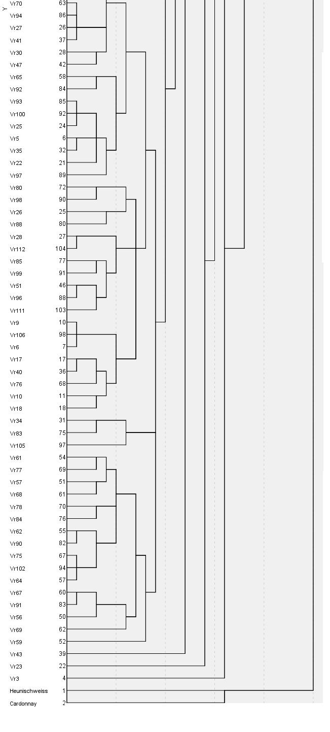 szerkesztett dendrogram a V.