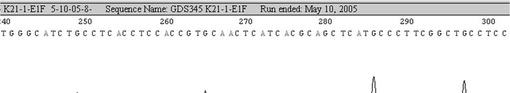 Query: 266