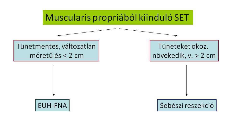 EUH-vezérelt mintavétel indikált: - nem reszekálható GIST gyanúja esetén a tirozin-kináz-gátló terápia megkezdéséhez - ha korábbi malignus betegség alapján a submucosalis lézió metasztázis gyanúját