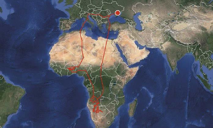 11. ábra: Ubul egyéves útja (2014/2015), melynek során több mint 33 000 km-t repült (forrás: www.jeladosmadarak.mme.hu) / The 33,000 km long migratory route of Ubul during 2014/2015 (source: www.